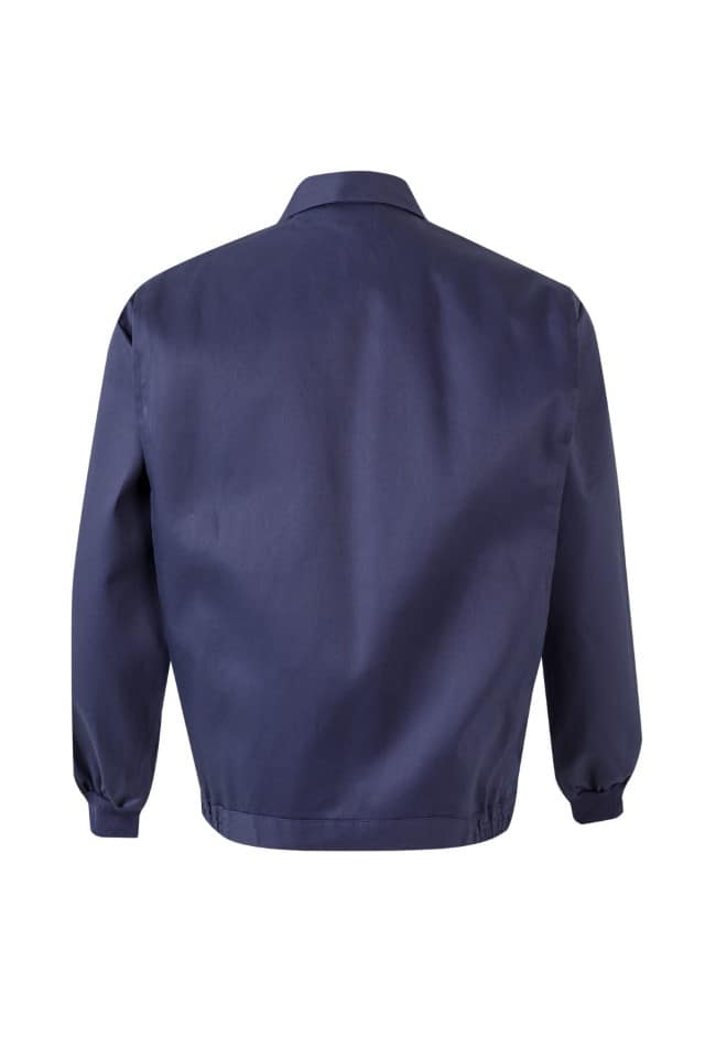 CAZADORA 100% ALGODÓN (Serie 645) - Imagen 2